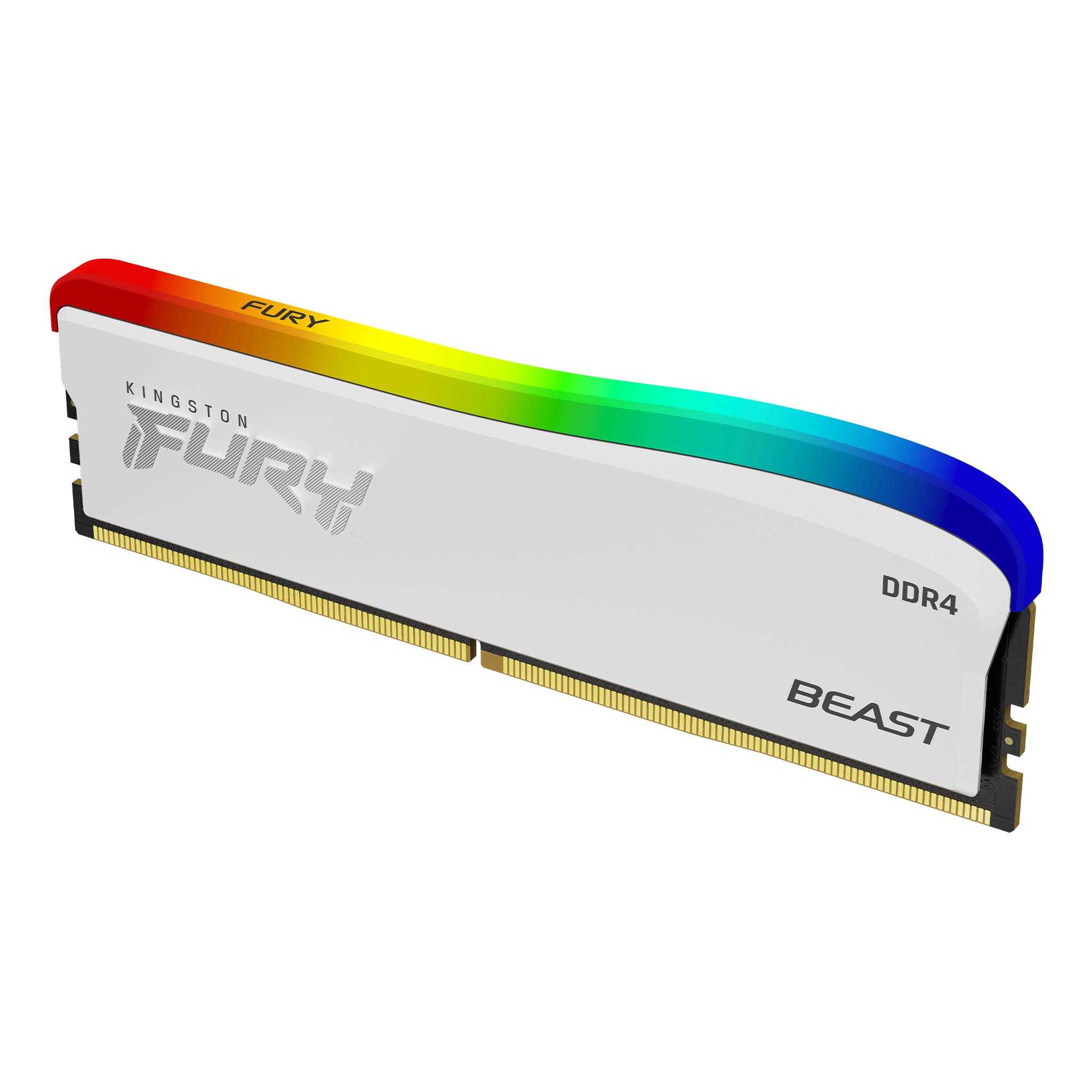 FURY_Beast_RGB_Special_Edition_DDR4_1_angle-zm-lg