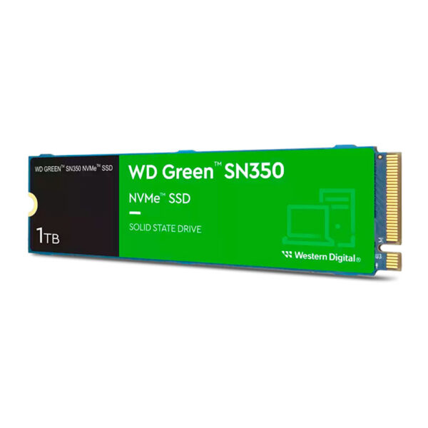 WDS100T2G0C-00CDH0_2